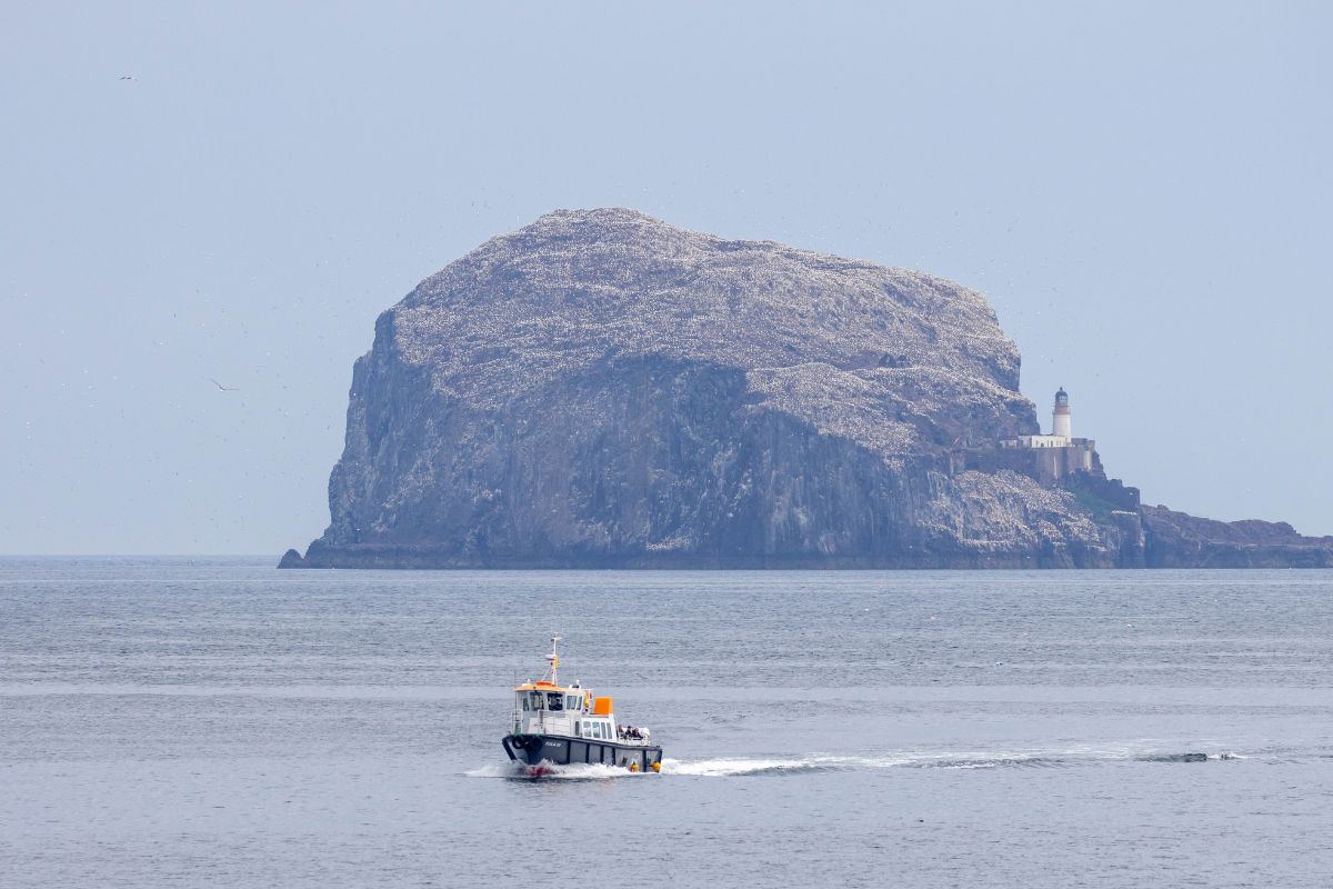A small boat in the water in front of an island